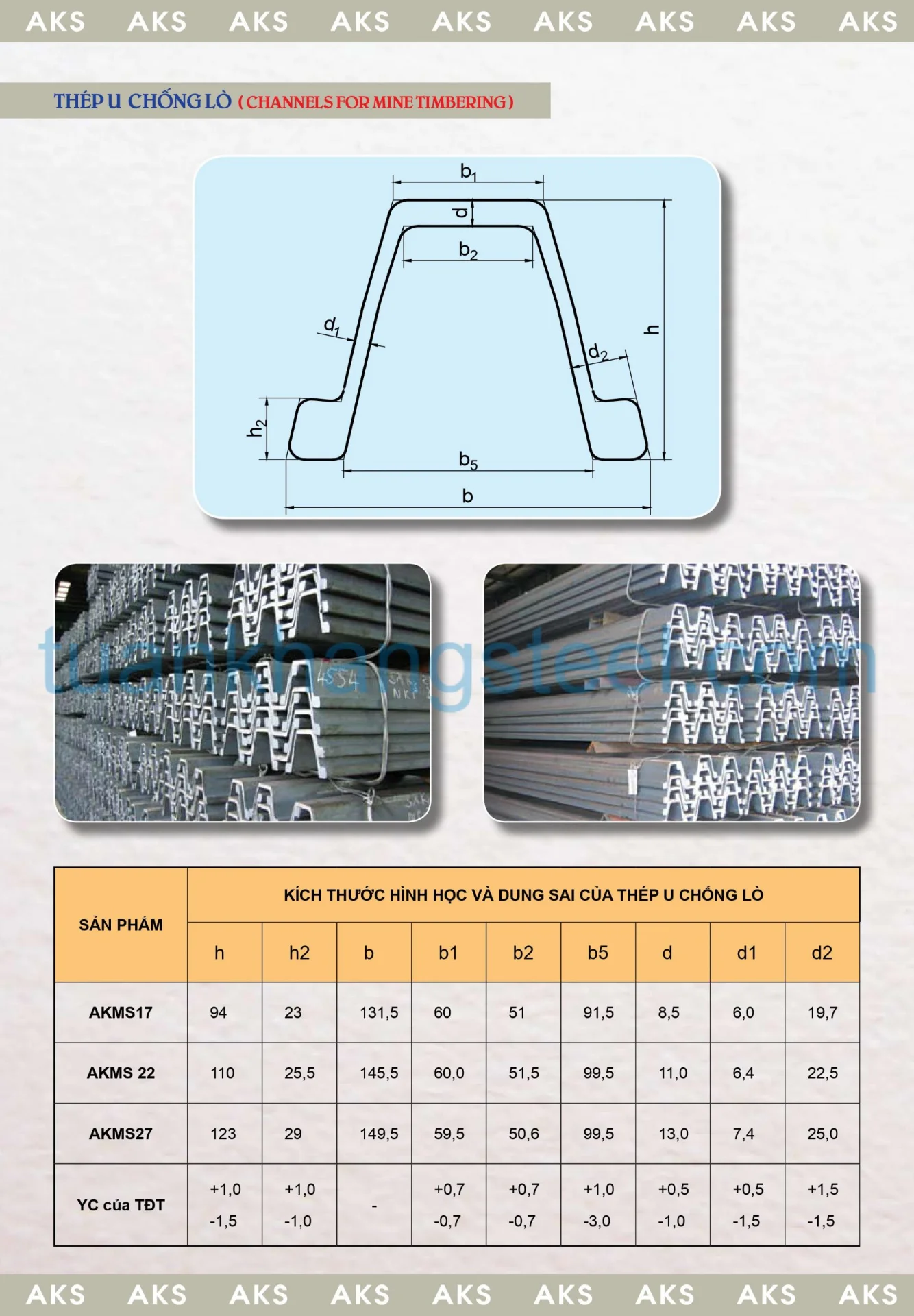 Catalogue Thép hình An Khánh