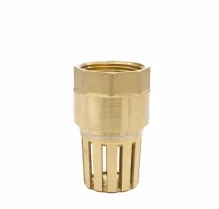 Rọ đồng MBV