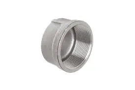 Bịt ren inox