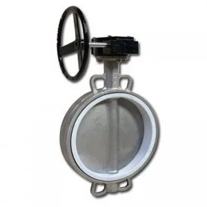 Van bướm tay quay inox