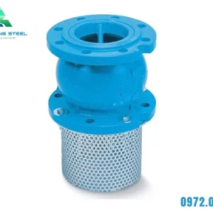 Rọ hút DN300 (ARV-Malaysia) – lọc rác tại đầu hút của đường ống