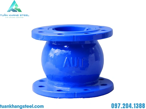 Van 1 chiều lò xo (AUT Malaysia) – hạn chế dòng chảy ngược